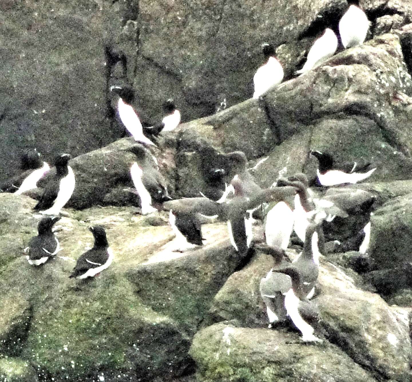 Bornholms skjulte perle