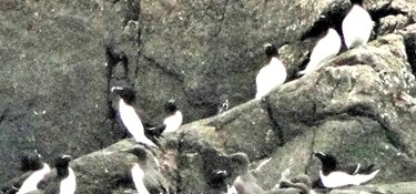 Bornholms skjulte perle