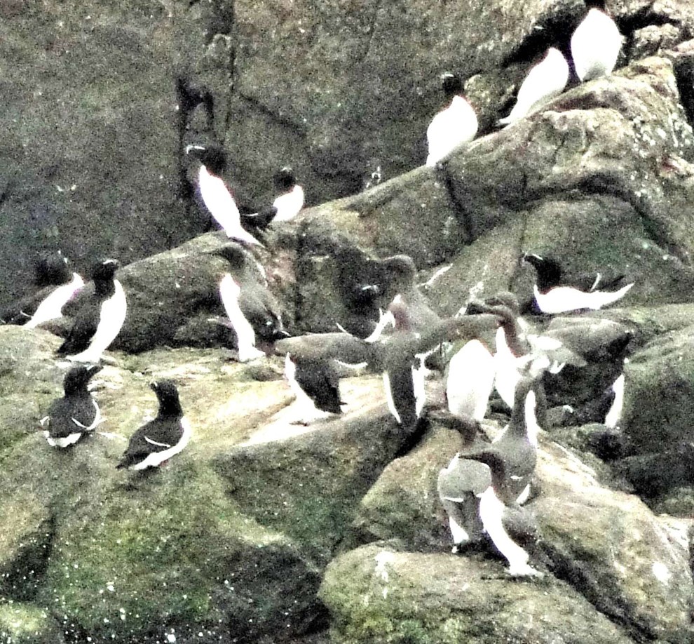 Bornholms skjulte perle