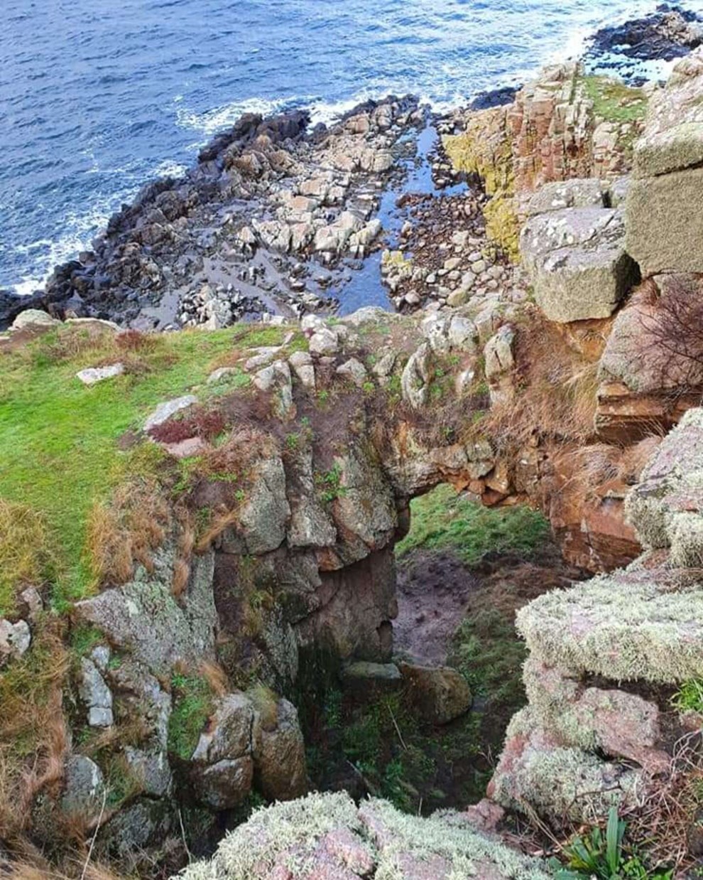 Dagens billede: Det gr�nnes