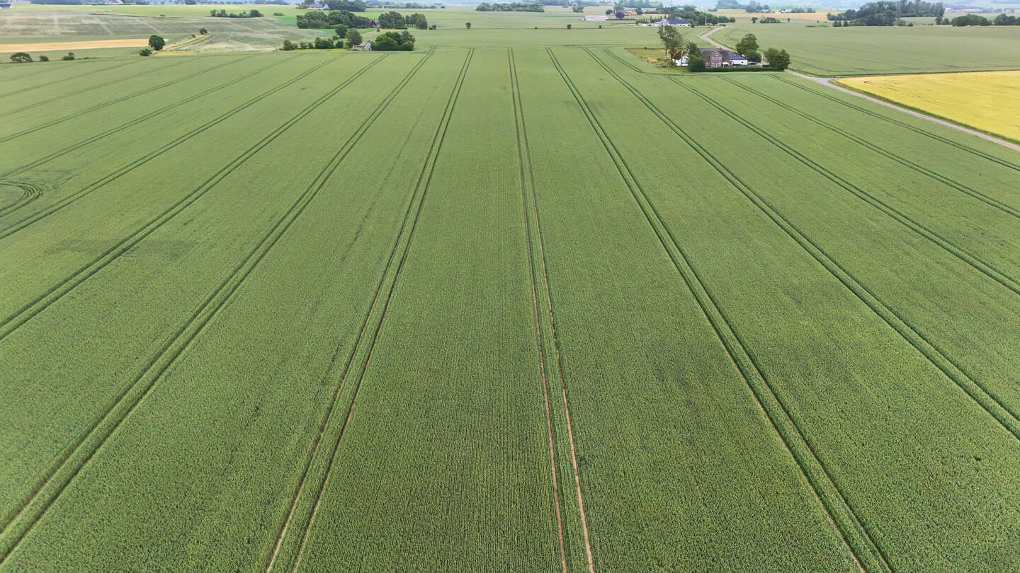 Hvorfor slipper landbruget for at betale for at svine naturen til?