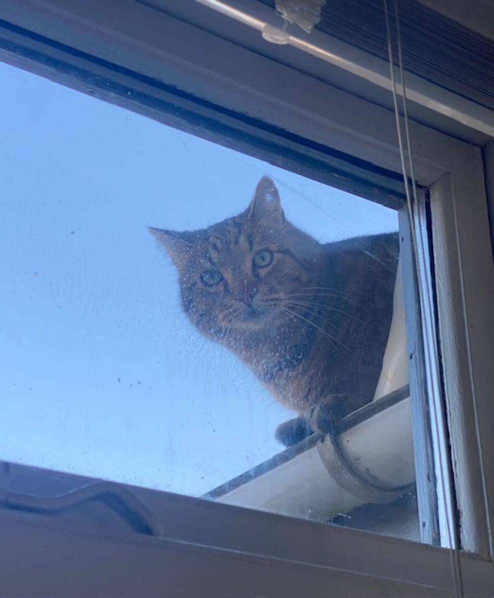 Dagens billede: �Mis-forst�et� overblik i Nex�