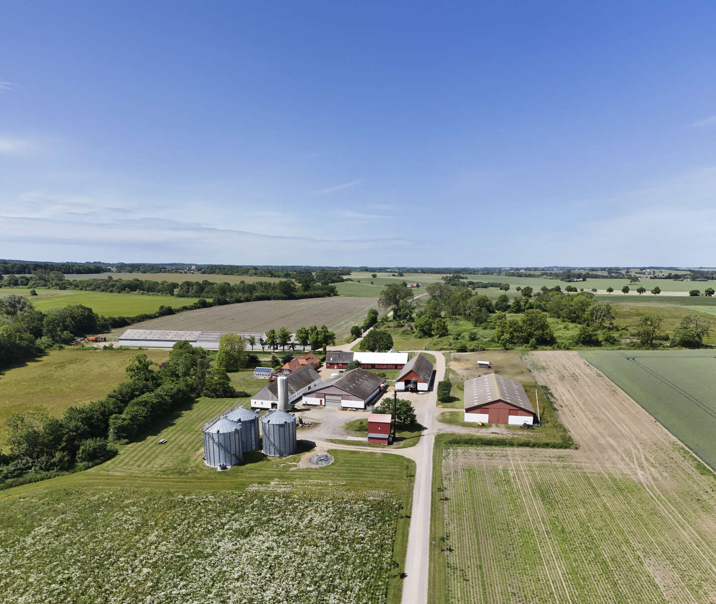 Endnu en stor fusion p� vej: BLF udvider bestyrelsen