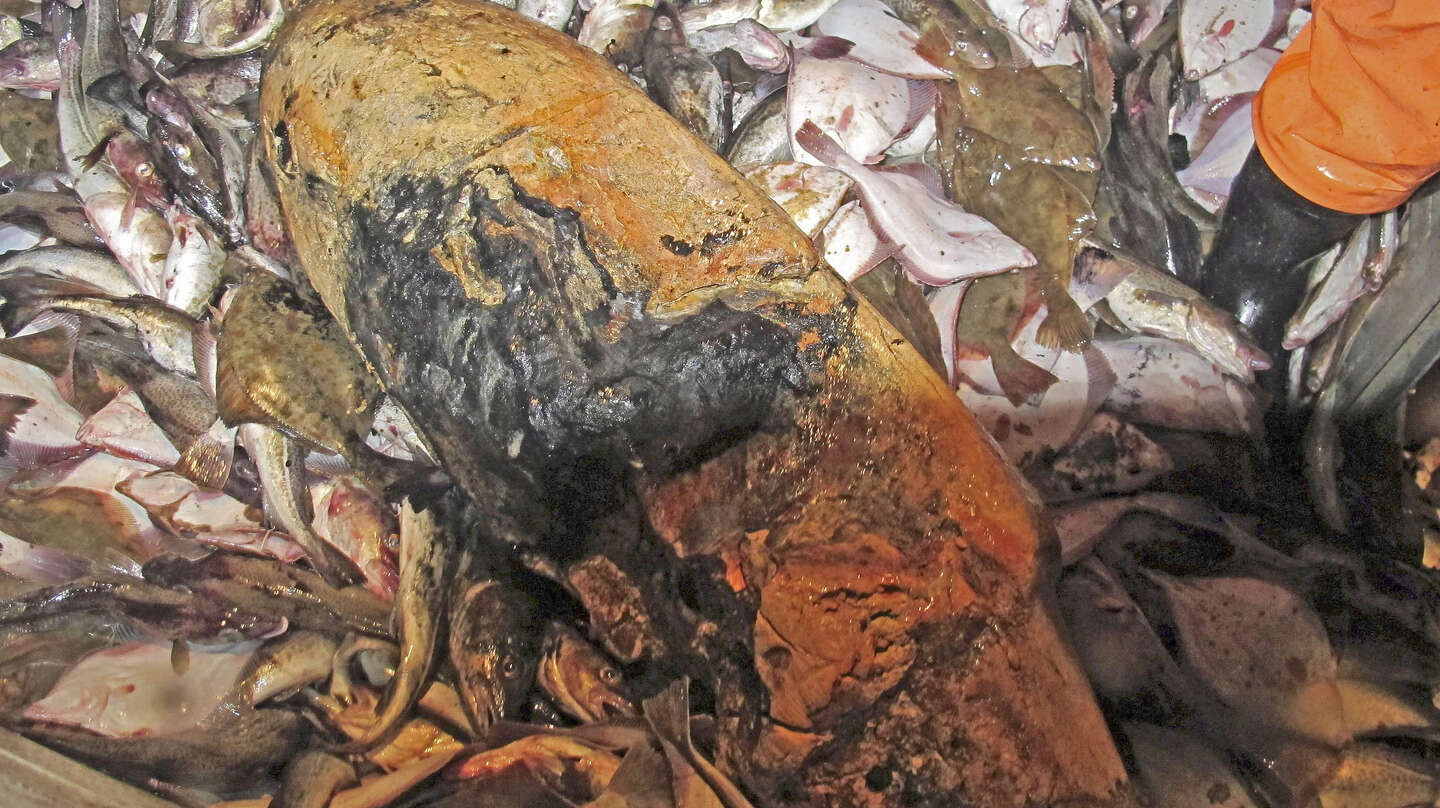 Et lokalt problem � et internationalt ansvar