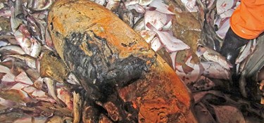 Et lokalt problem – et internationalt ansvar