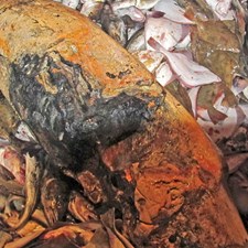 Et lokalt problem � et internationalt ansvar