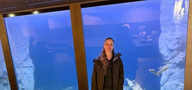 Kæmpeakvarium har fået nyt look