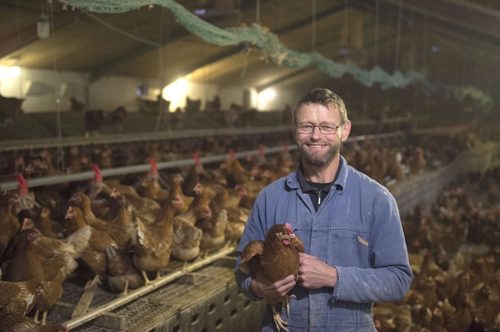 Nye krav lukker produktion ned: 'Det er trist'