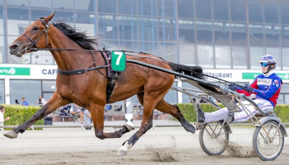 Sm� felter p� travbanen