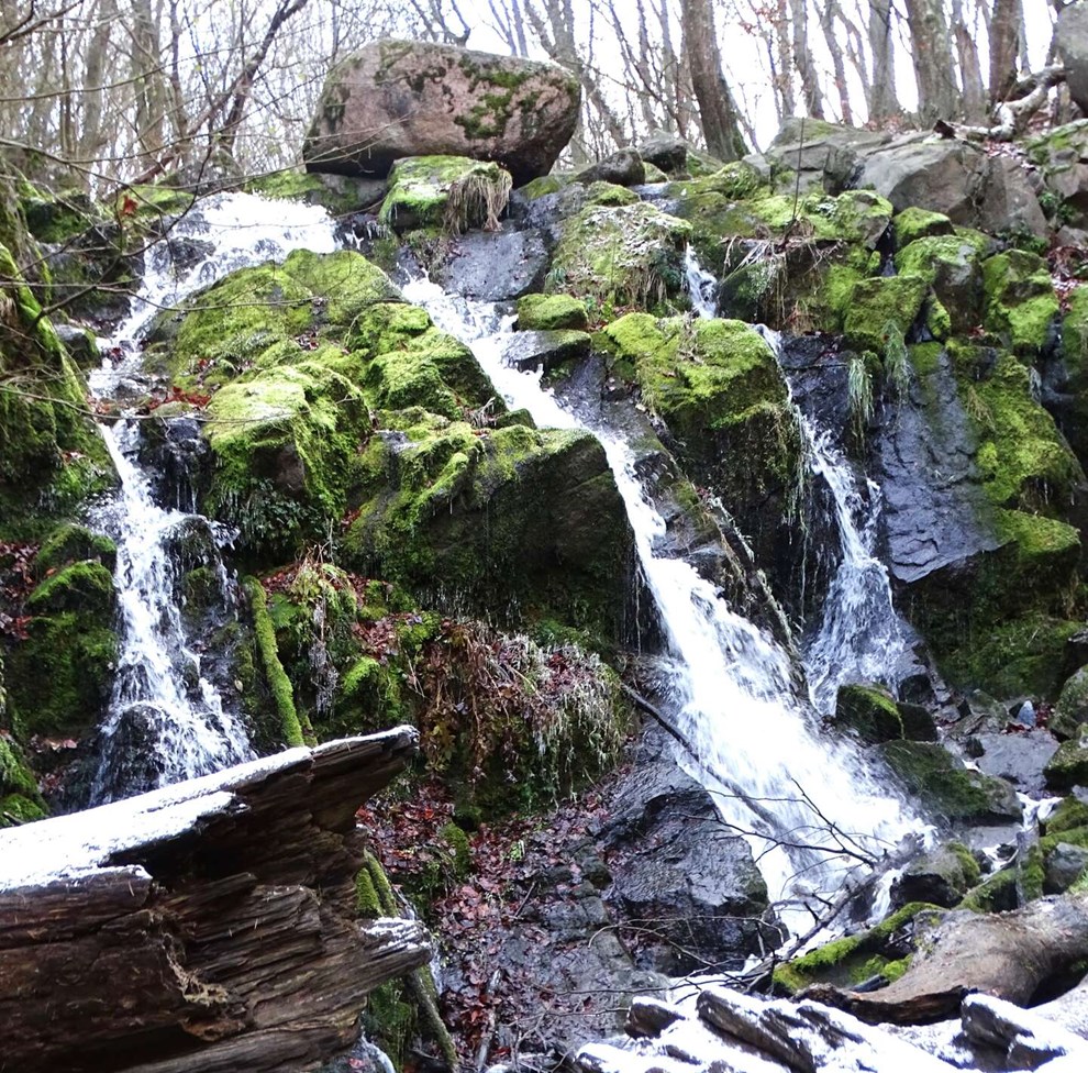 Har forandret sig markant p� 19 �r