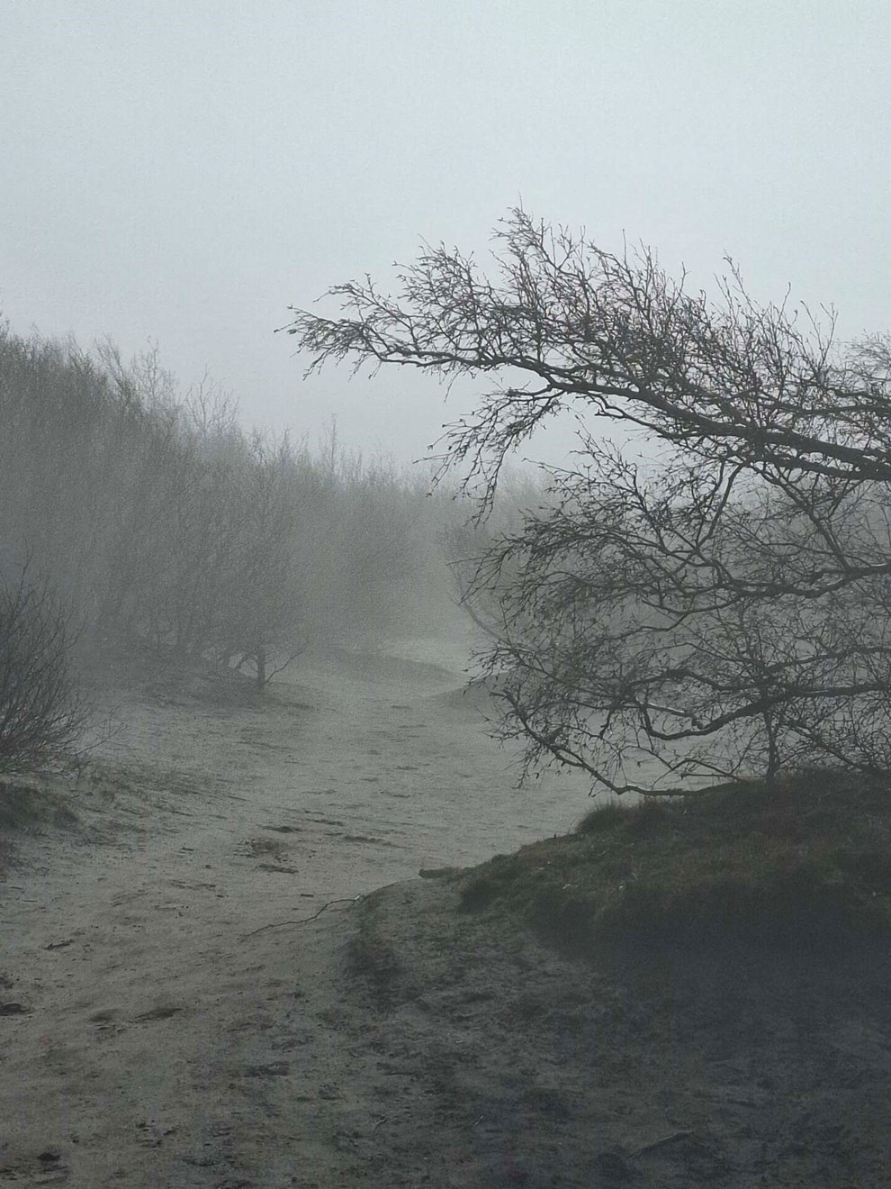 Dagens billede: Havgus på Kullatippen Dagens billede: Havgus på Kullatippen