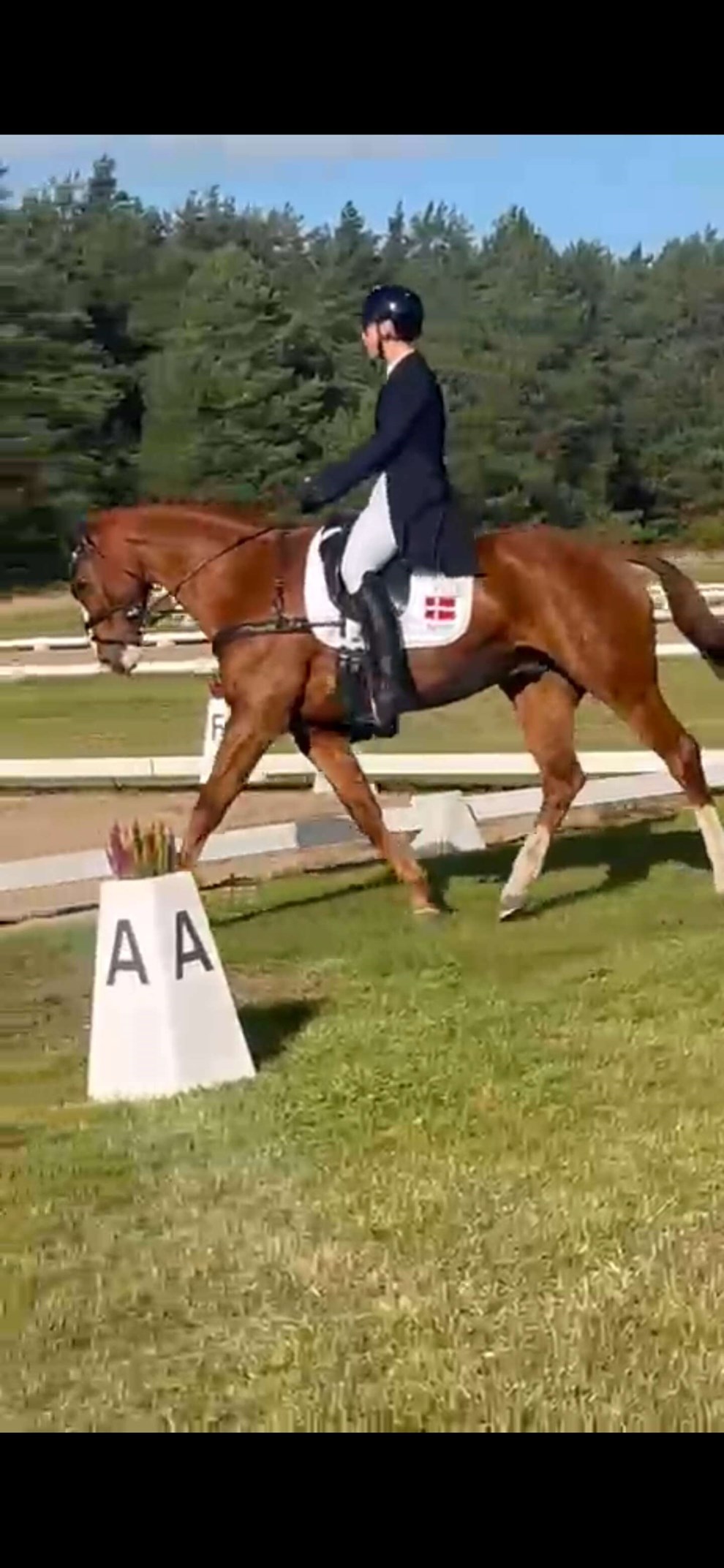 Deltager i internationalt st�vne