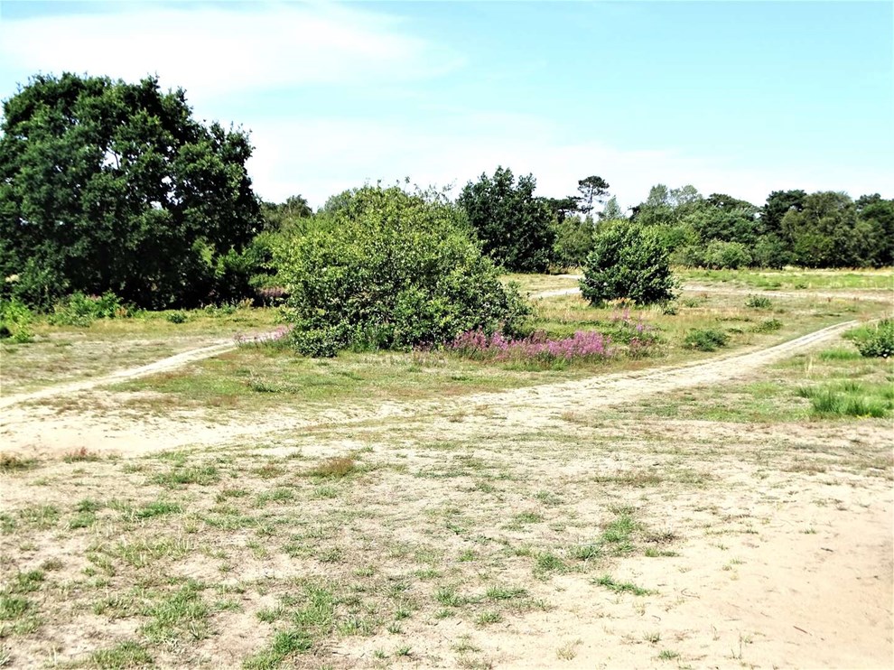 Et af de mest fredelige steder gemmer p� en brutal fortid