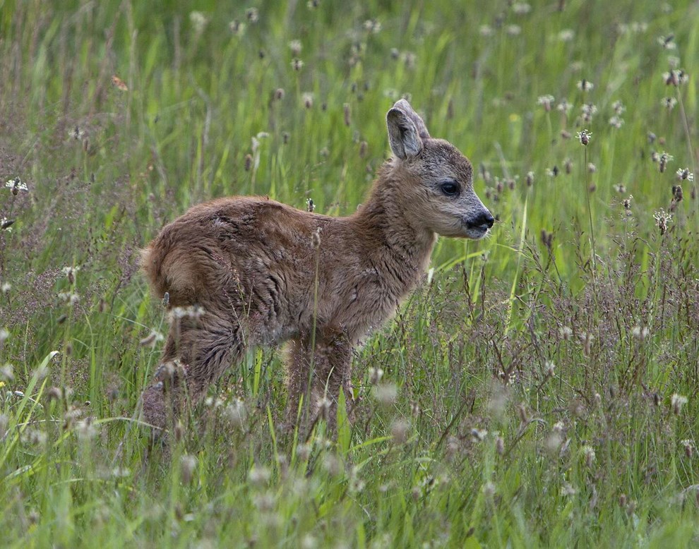 Den tid p� �ret: Hold jer v�k