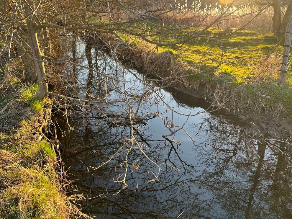 Dagens billede: Aftensol ved Ferskes� i Nex�