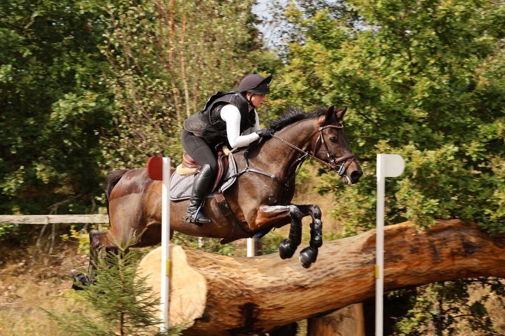 Vi havde internationale turneringer - nu skal sporten reddes Vi havde internationale turneringer - nu skal sporten reddes