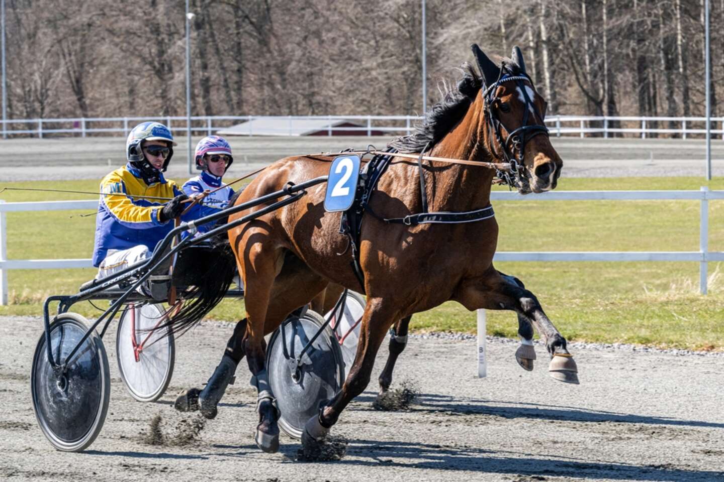 Jonas Mikkelsen slog til igen 