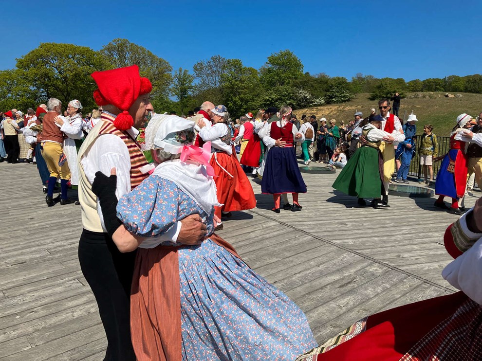 Millioner afsat: Bornholmere bliver en del af redningsprojekt 