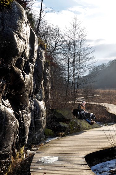 En g�st. Et sekund. En d�gnflue