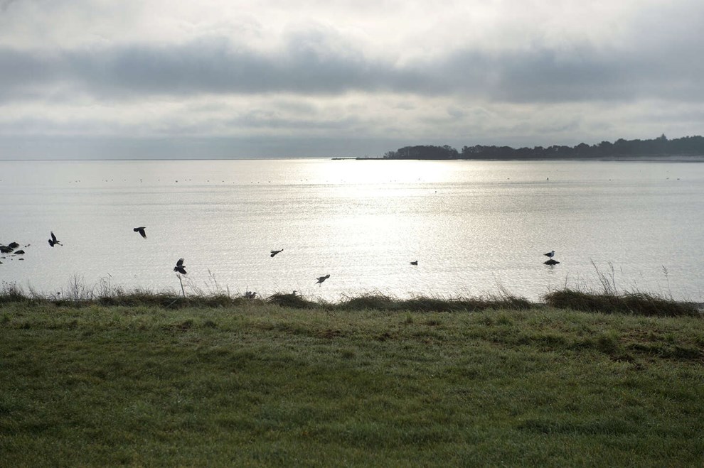 Skyggeskibe skifter rute i �sters�en