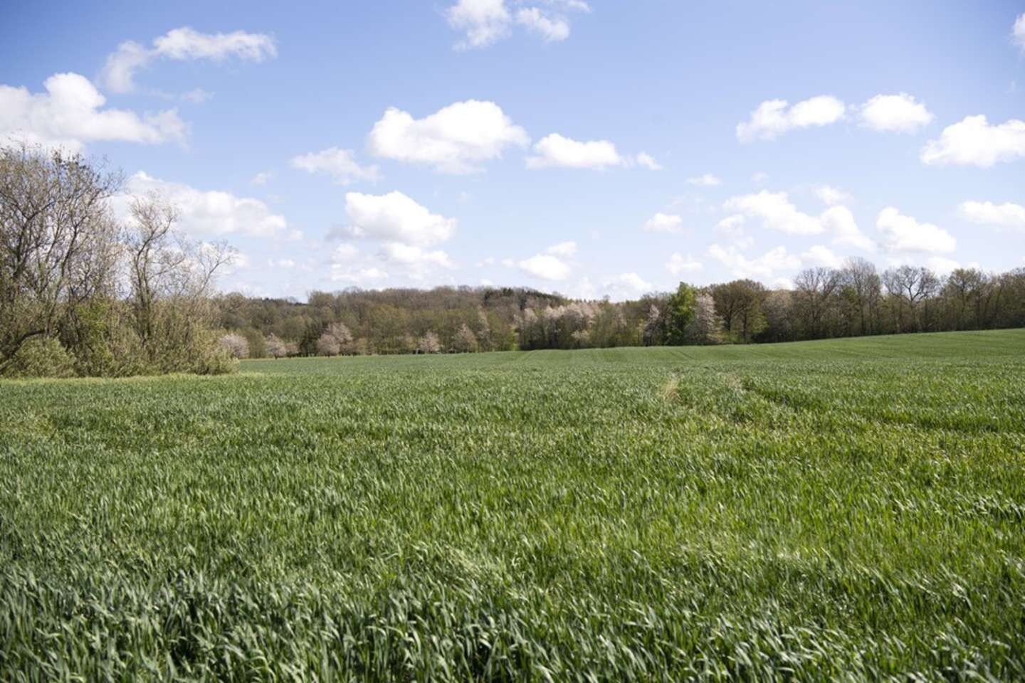 22 hektar stort projekt f�r gr�nt lys trods klager