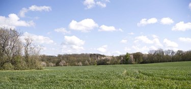 22 hektar stort projekt får grønt lys trods klager