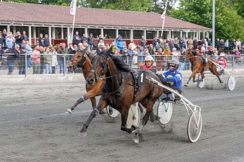 Sm� felter i s�ndagsl�b