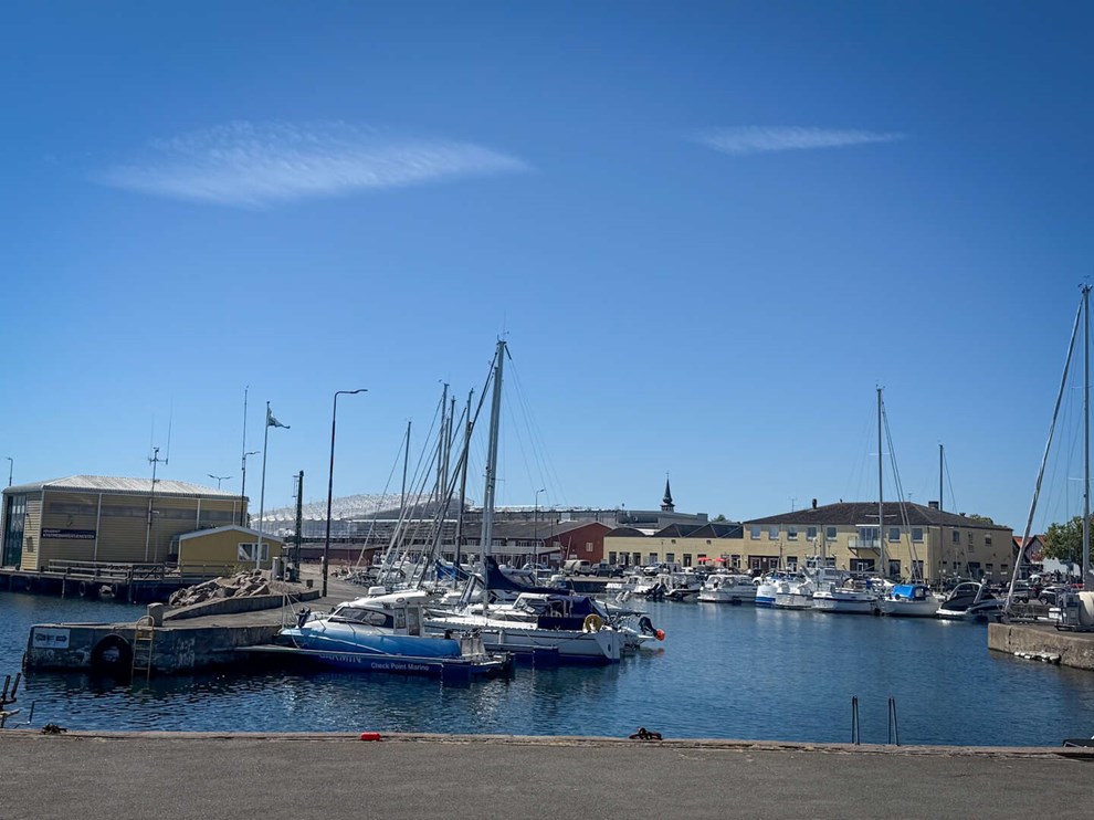 Ny bestyrelse i Nex� Havn