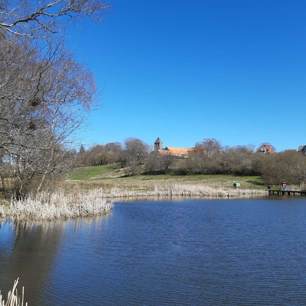 Dagens billede: Sol over Pr�stedammen