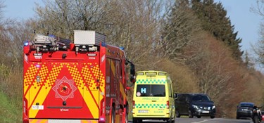 Blev ramt af dådyr og blev siddende