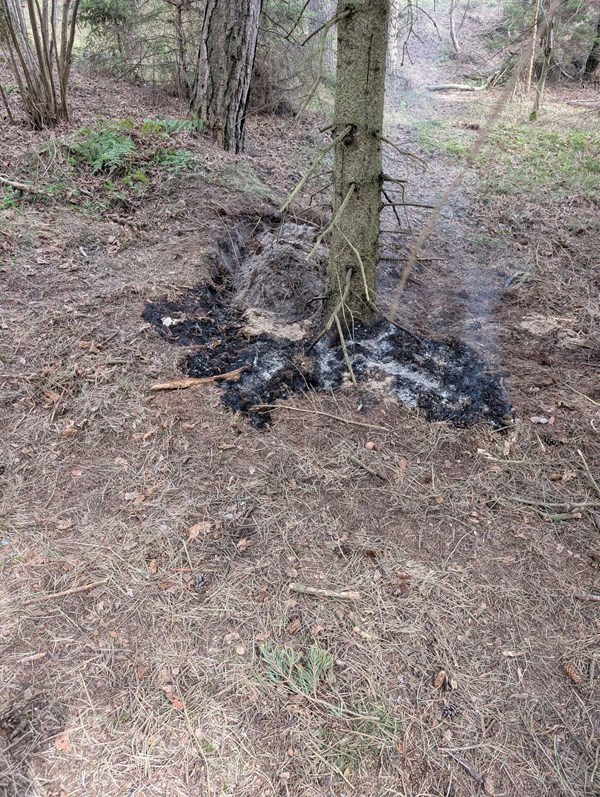 Brand p� skydeterr�n lynslukket