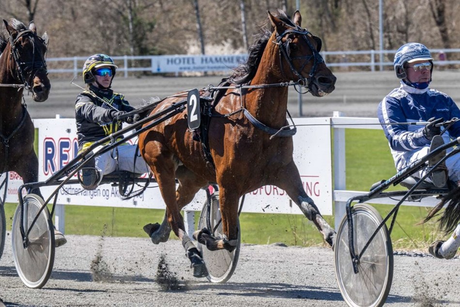 15 heste til start i storl�b