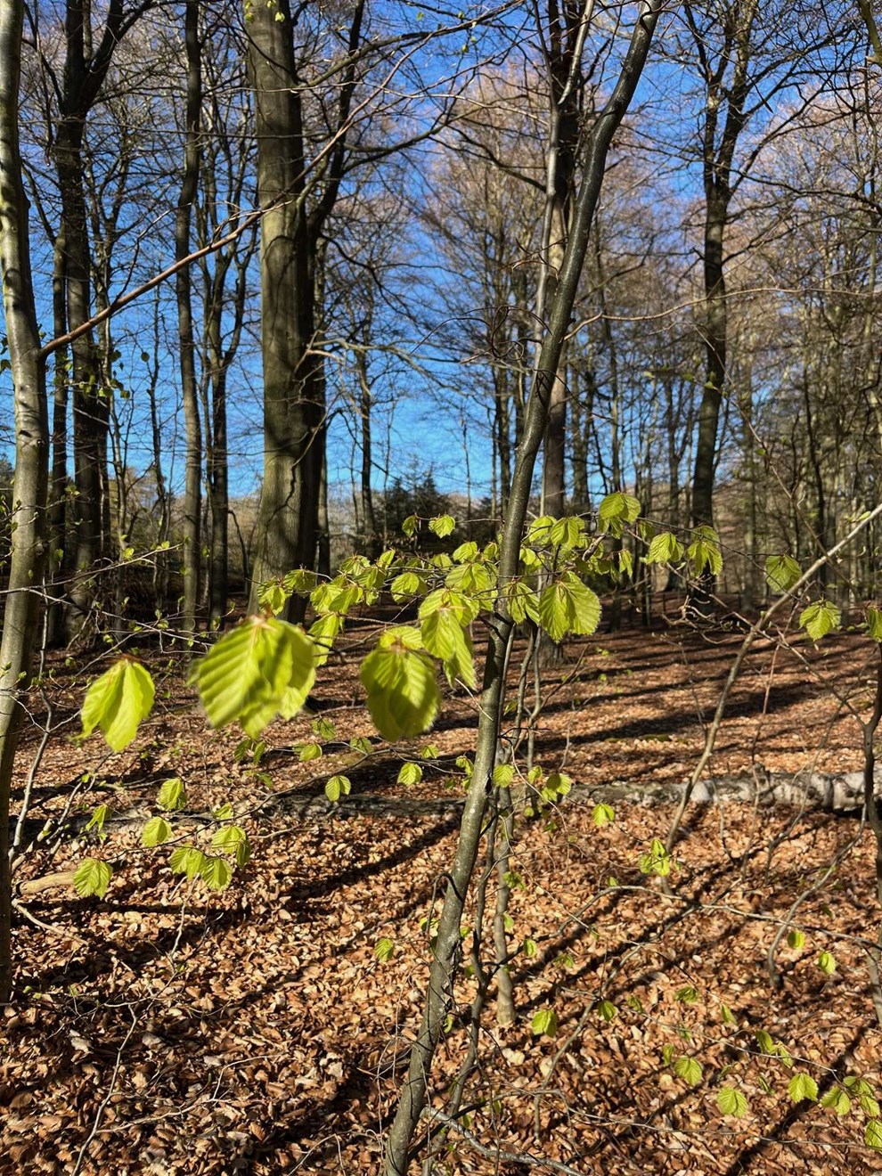 S�sonens sidste l�b