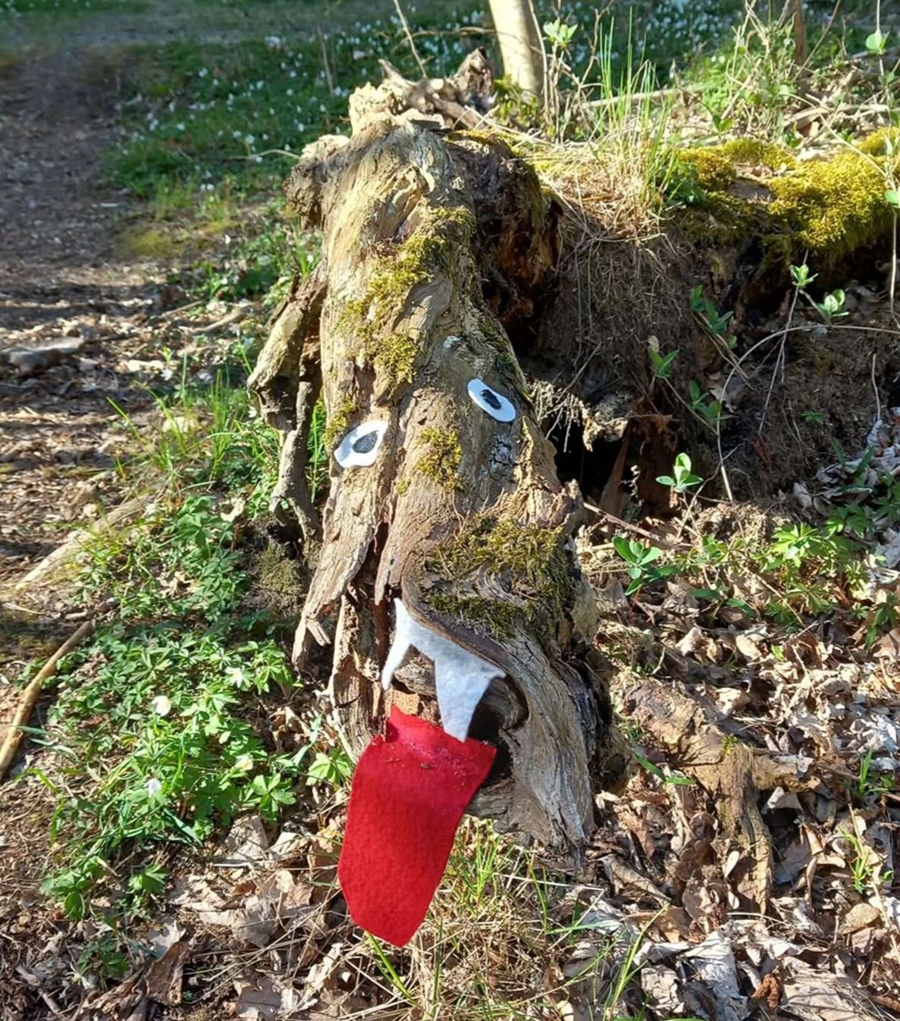 Dagens billede: Nordbornholmsk skovuhyre