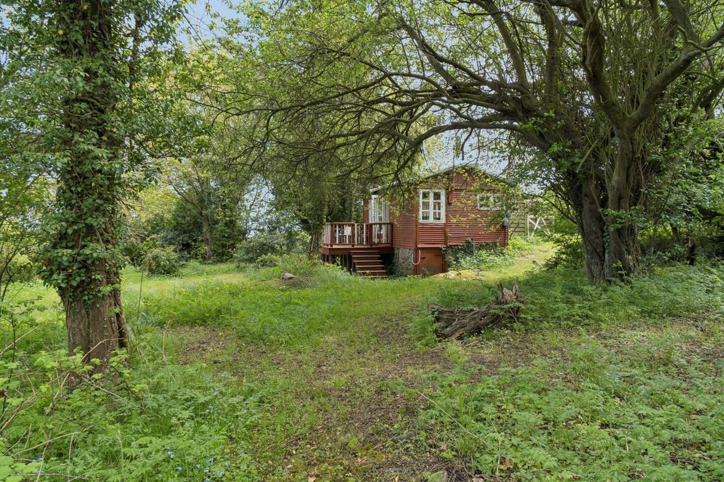 Minihus med s�rlig mulighed til salg: Var ikke planen at s�lge