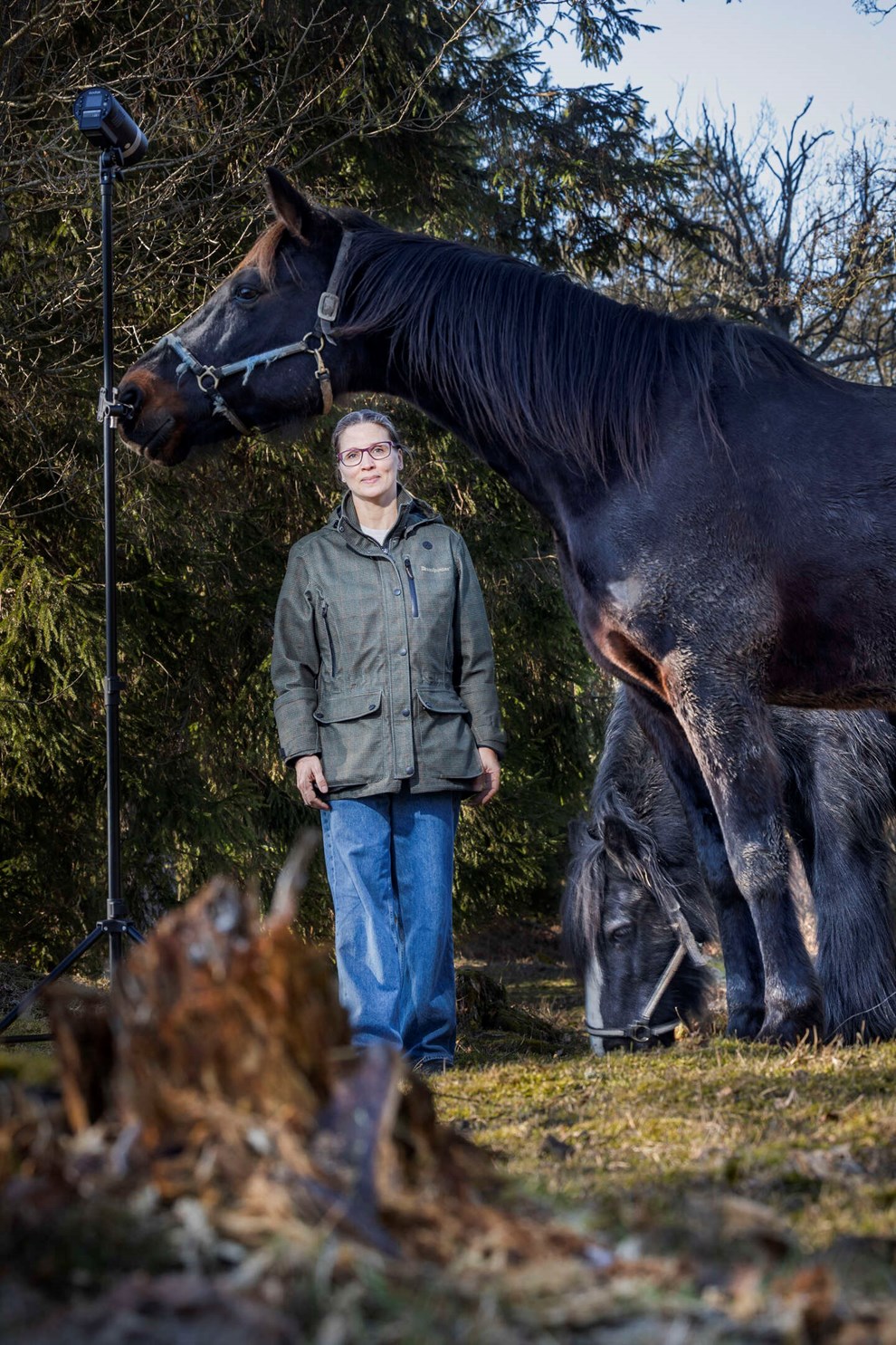 Dr�mmer om at komme i gang igen