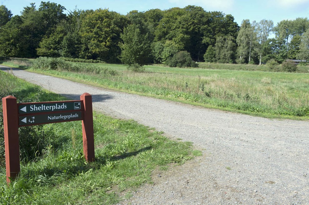 Pr�ver noget nyt: 24 timers jagt i skoven
