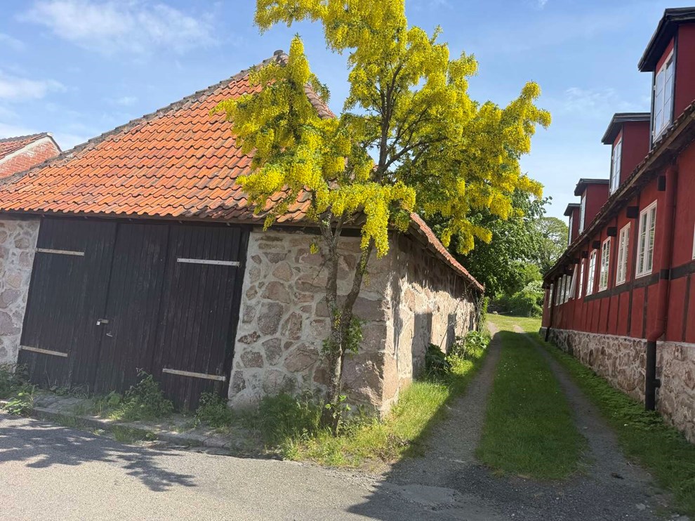 Efter stor debat: Giver grønt lys Efter stor debat: Giver grønt lys