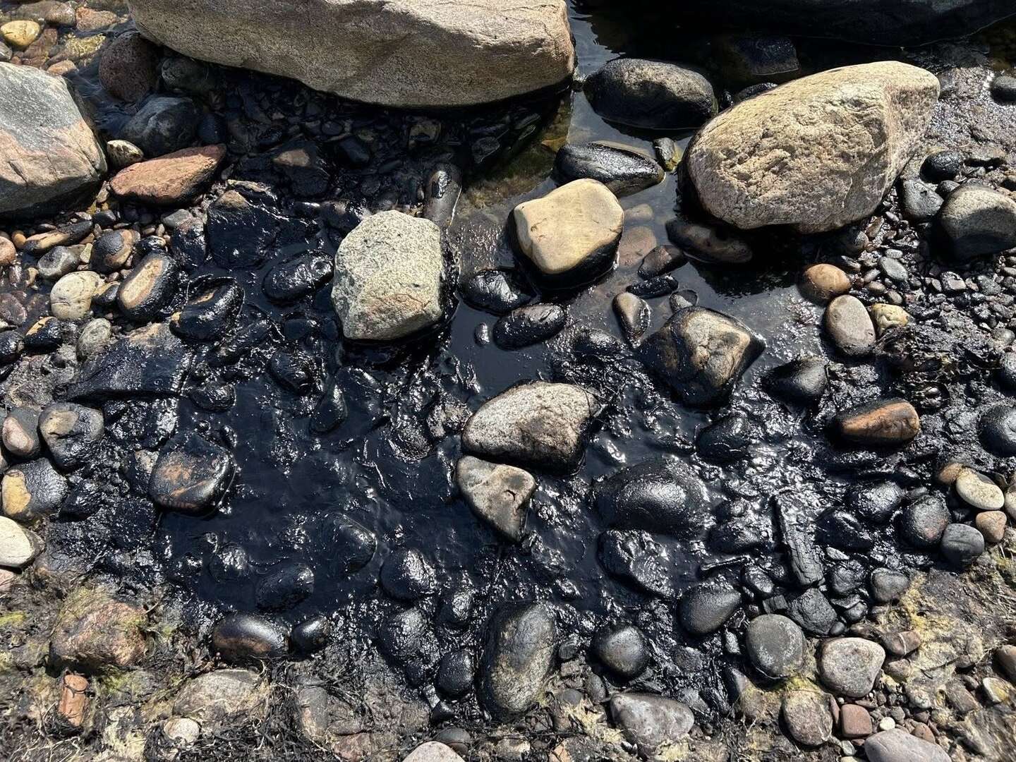 Se billeder: Olieforurening p� strand