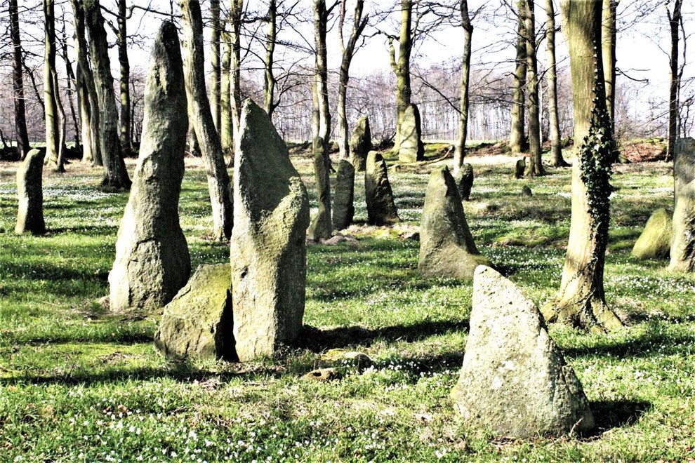 Mystik i skoven: Peger stenene mod solen?