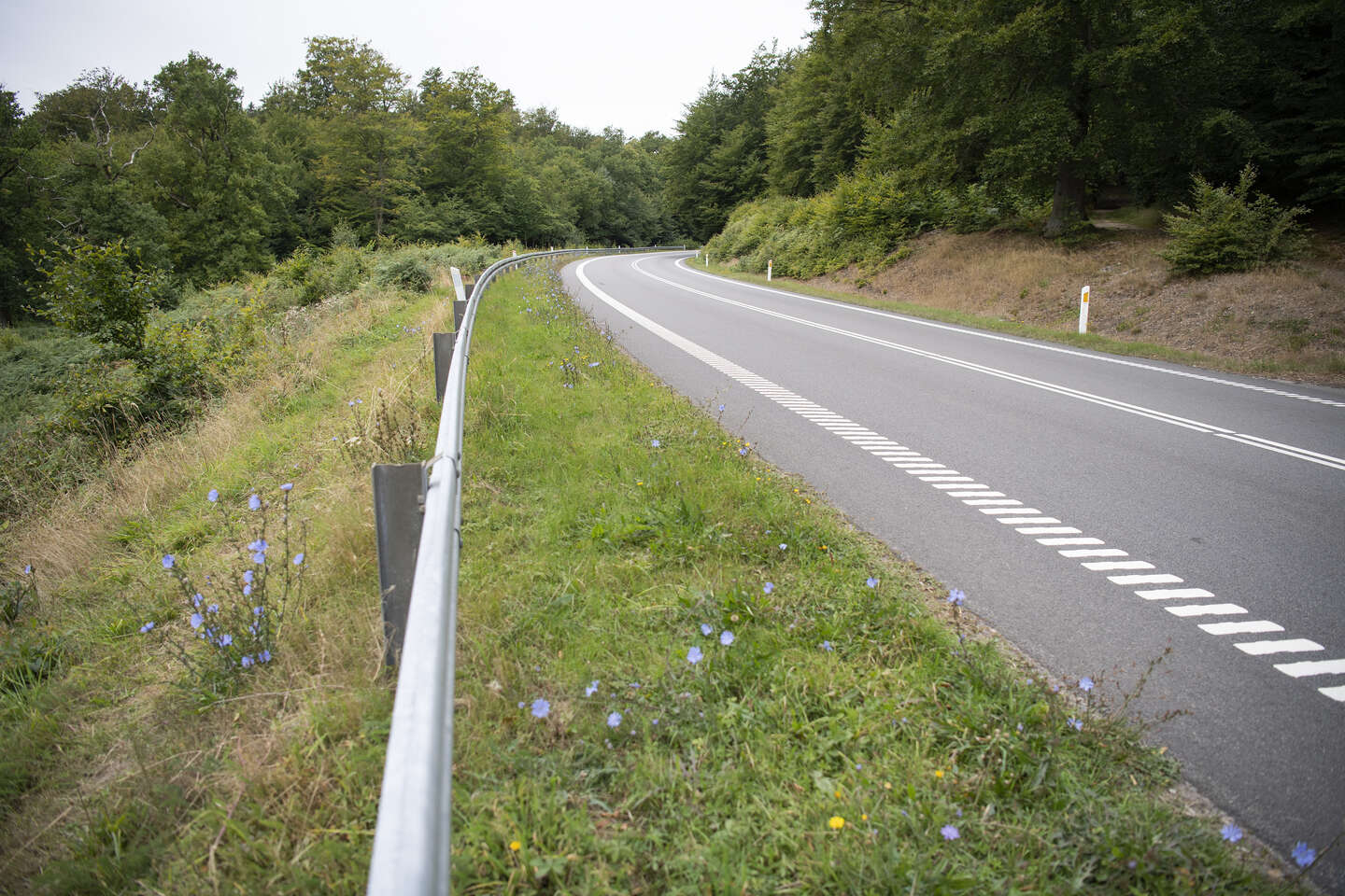 Vi udvikler hele tiden indsatsen