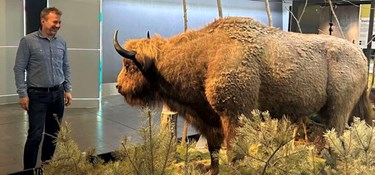 Alle siver nordpå – men det er stadig et aktiv