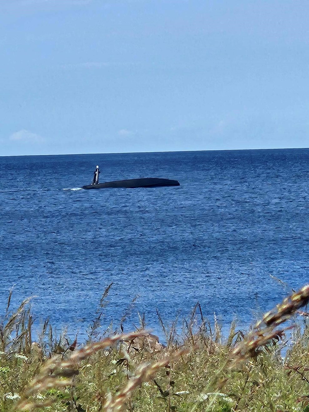 Dagens billede: Us�dvanligt syn ved havet