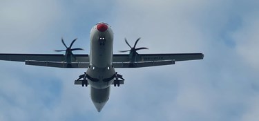 De fyldte fly skaber frygt for ond spiral