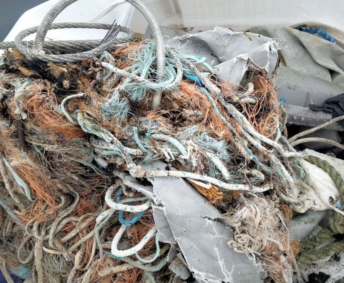 Sp�gelsesnet splitter: Regningen ville ende hos bornholmerne