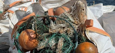 Sea Shepherd er tilbage på Bornholm