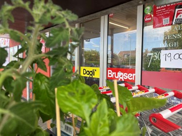 Uddeler tror p� fremtiden med hjertet - hjernen siger nej