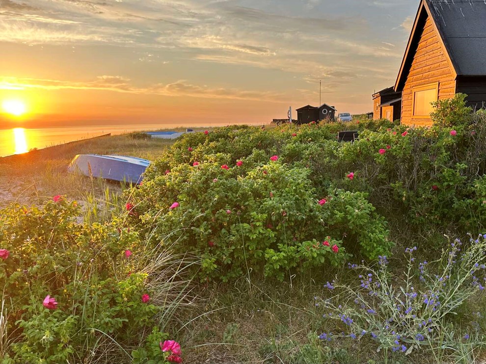 Dagens billede: Solnedgang fra Sorthat Odde