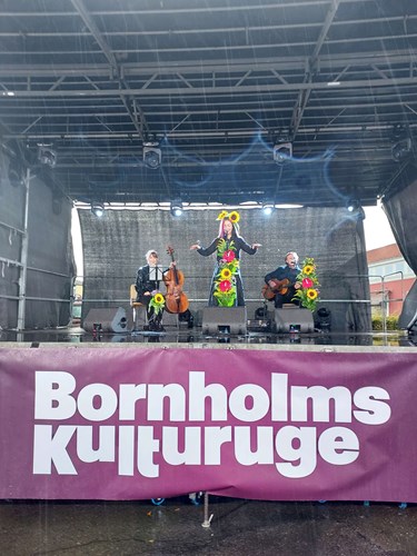Frygter spareforslag: 'Der er ingen kulturuge uden et budget'