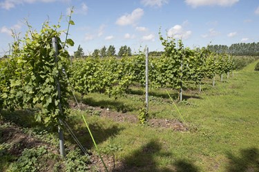 Teltplads p� ving�rden: 'Ikke noget, vi tjener p�'